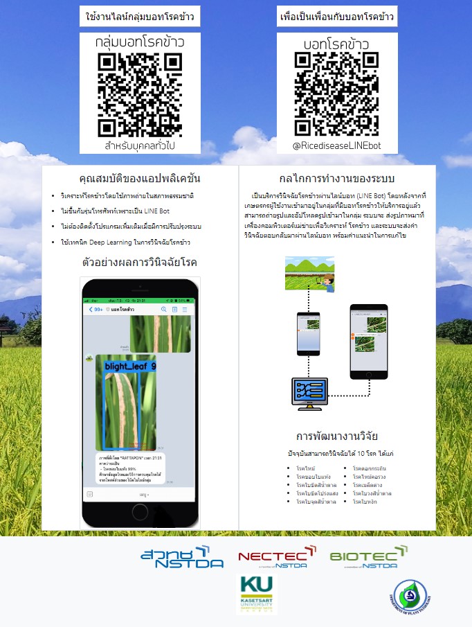 ไลนบอทโรคขาว Rice Disease Linebot เพอการวนจฉยโรคขาว Thai